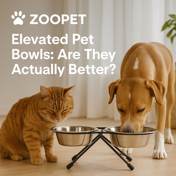 “Elevated Pet Bowls: Are They Actually Better?”